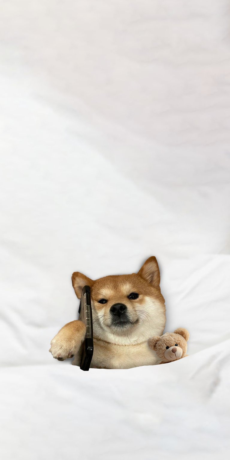 Dog holding a phone wallpaper 4k iPhone