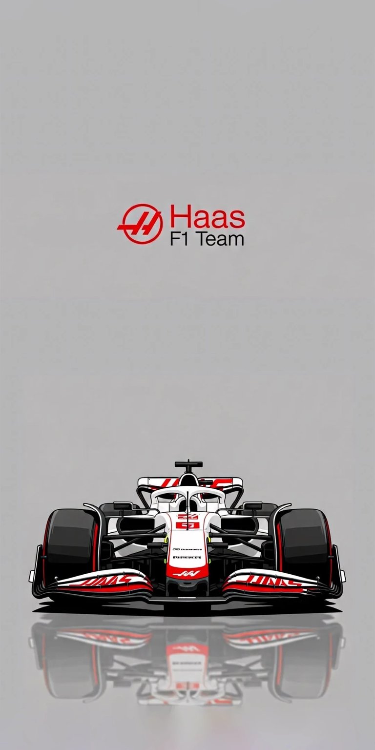 This iPhone wallpaper showcases the Haas F1 race car in stunning 4K resolution. The reflection on the gray surface, the crisp red and white livery, and the bold 'Haas F1 Team' logo make this a must-have wallpaper.