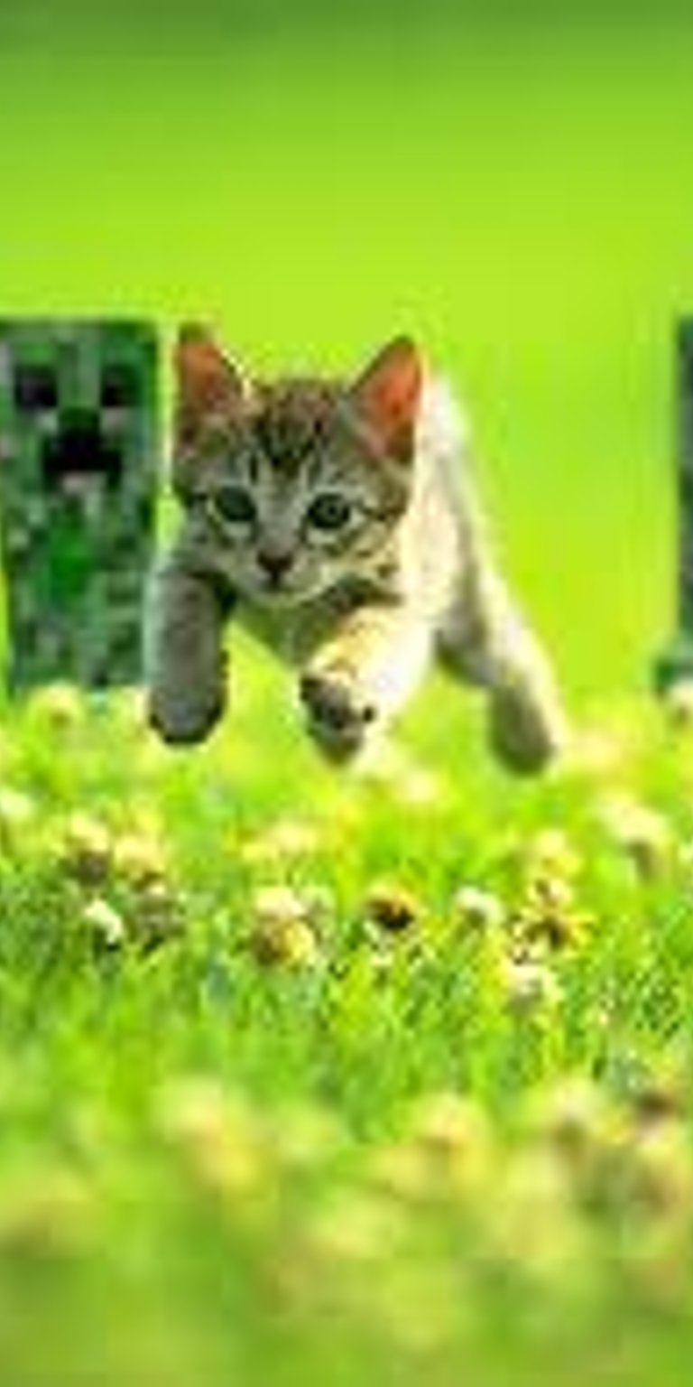 Cat wallpaper for iPhone featuring a playful kitten mid-jump across green grass with bright natural lighting. This Aesthetic wallpapers style wallpaper uses soft focus depth, vibrant green tones, and a cheerful, lively mood to create an eye-catching wallpaper.
