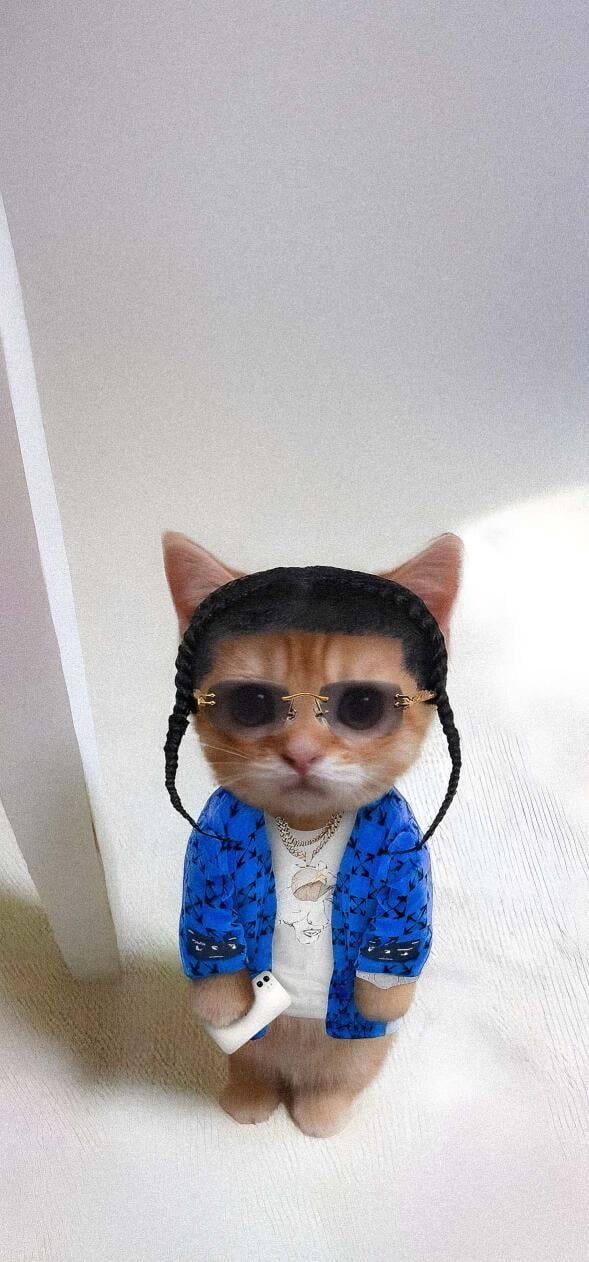 Travis Scott cat wallpaper HD iPhone