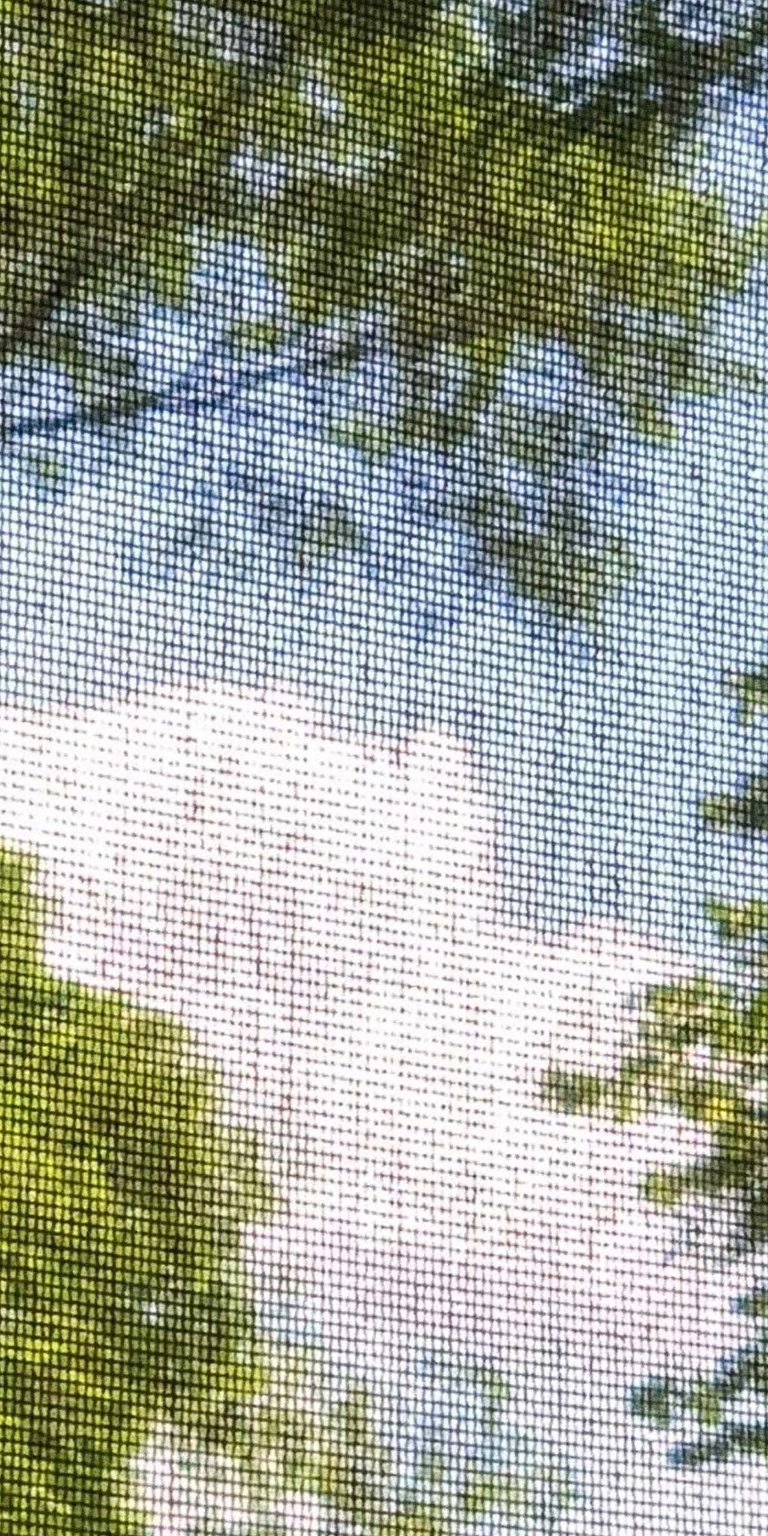 Nature View Through Mesh Wallpaper HD