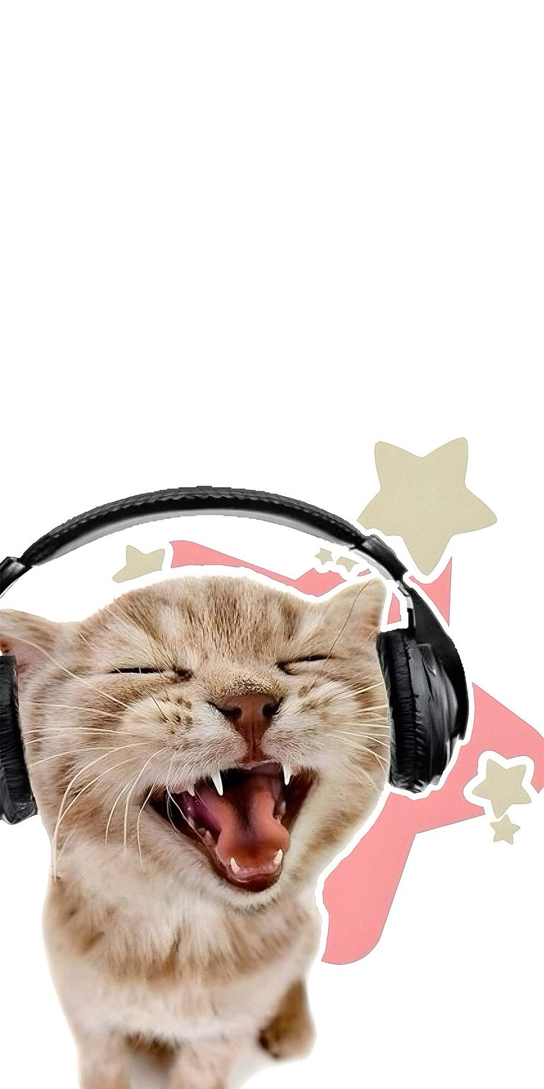 Cat listening music Wallpaper