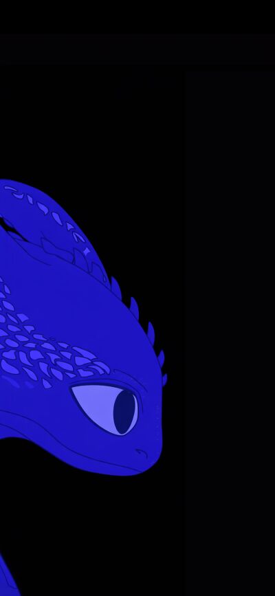 This Toothless 4K wallpaper features a matching design for two people. Download this cute dragon wallpaper for your iPhone, showcasing its iconic eye and detailed scales.