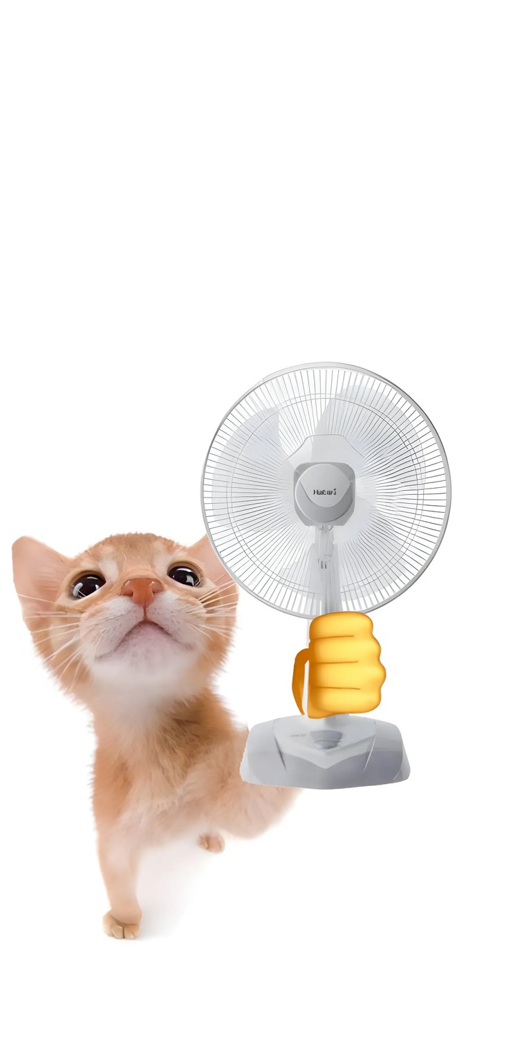 This adorable ginger cat 4K wallpaper is perfect for your iPhone. The kitty peeps up at the viewer from behind a white surface, seemingly fascinated by the white fan that's being held up by an emoji hand.