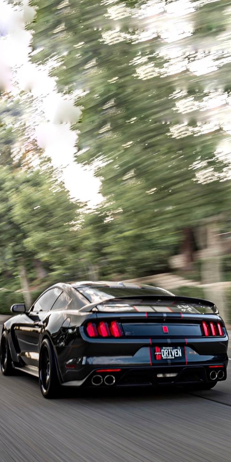 Mustang Shelby wallpaper iPhone