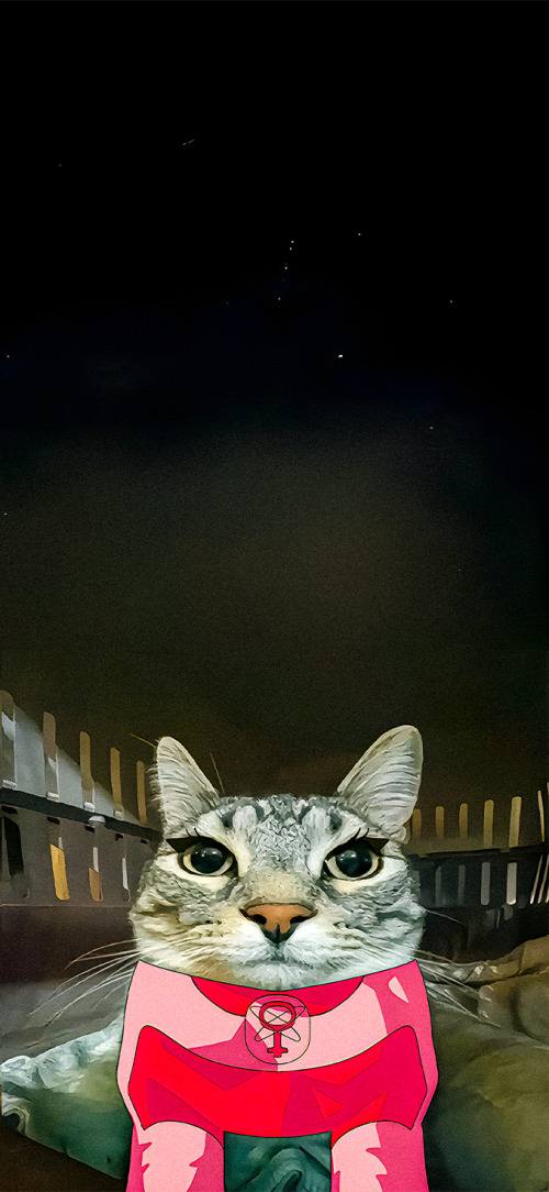 Atom Eve Invincible cat wallpaper iPhone 4K