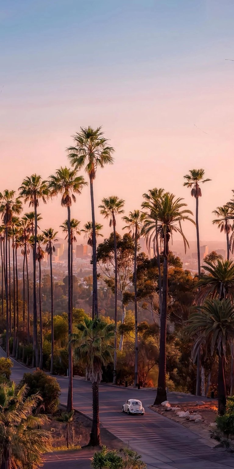 This Los Angeles 4K wallpaper is perfect for your iPhone, showing a sun-drenched road lined with towering palm trees. A vintage white car is seen driving towards the city skyline in the background, making this wallpaper a unique choice.