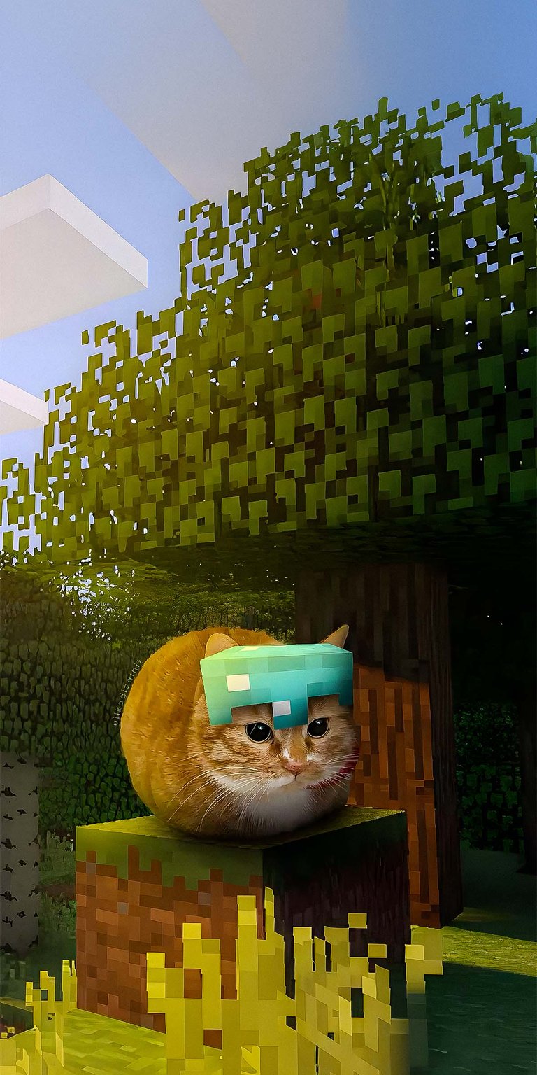 Minecraft cat wallpaper for iPhone