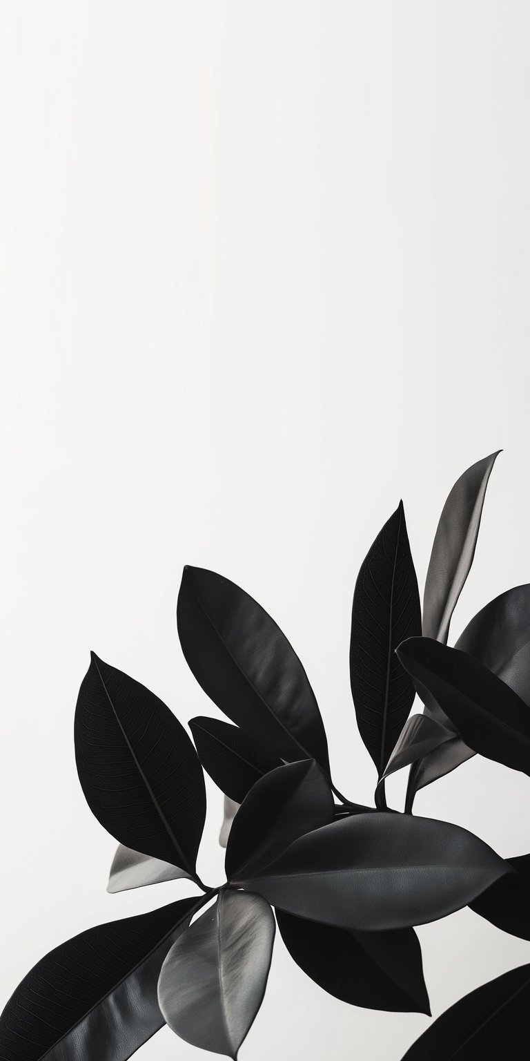 Black and white color leaves wallpaper