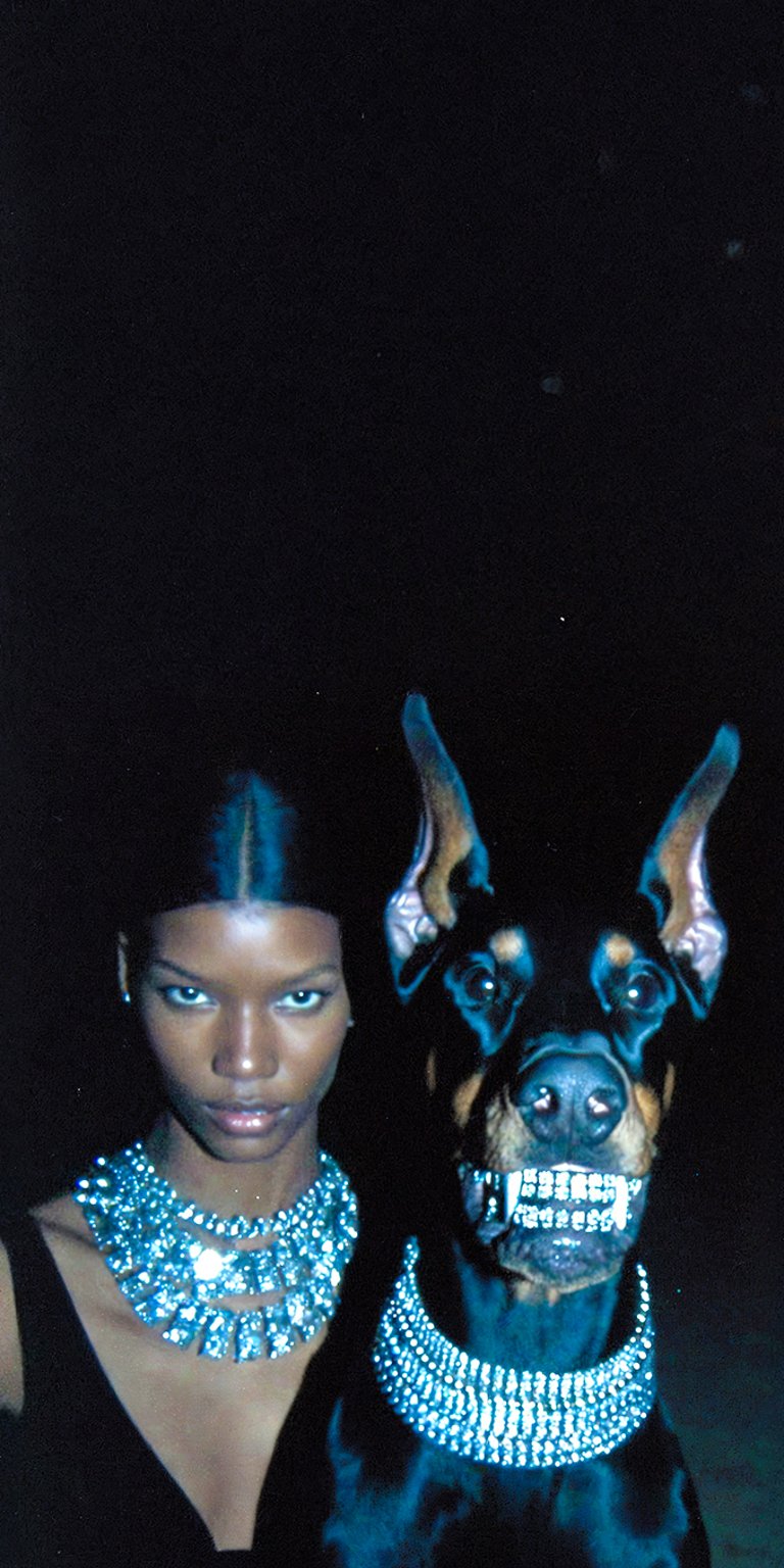 Diamond teeth dog wallpaper iPhone 4K