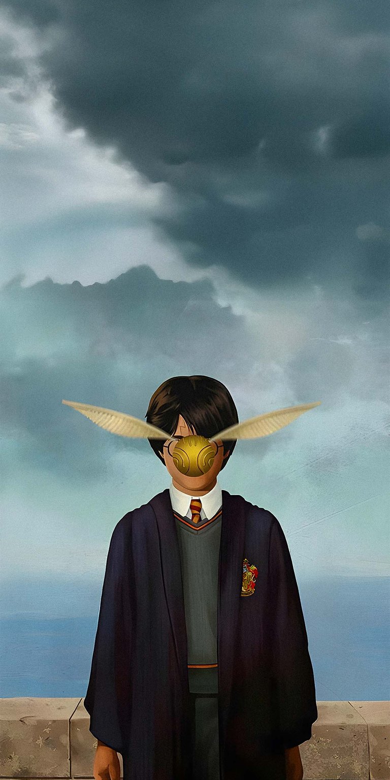 Harry Potter and Golden Snitch wallpaper iPhone