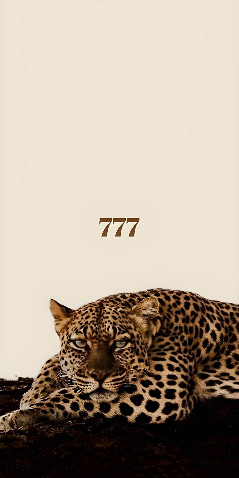 This Minimalist wallpapers entry features a relaxed leopard resting below a clean "777" angel number graphic. Elevate your iPhone screen with this wallpaper showcasing warm tan tones, plenty of negative space, and a calm, balanced mood.