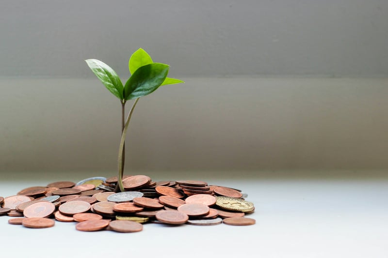 A small plant growing out of a pile of coins