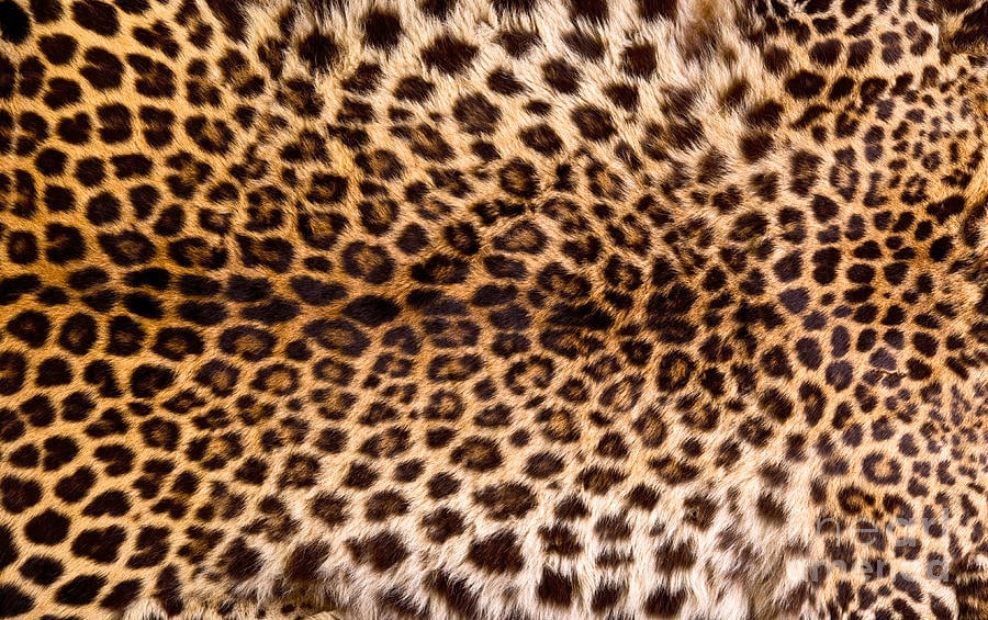 @Kikiklout's profile cover