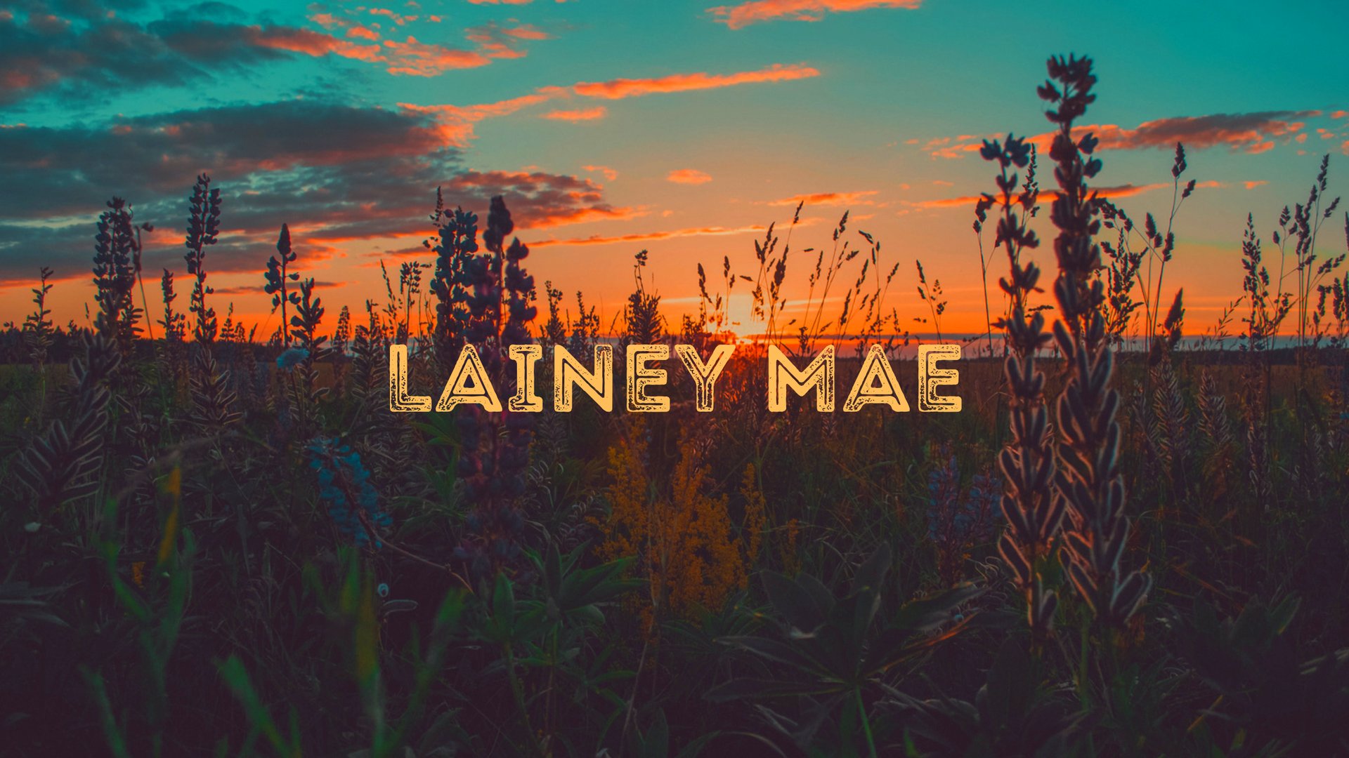 @Laineymae6.7's profile cover