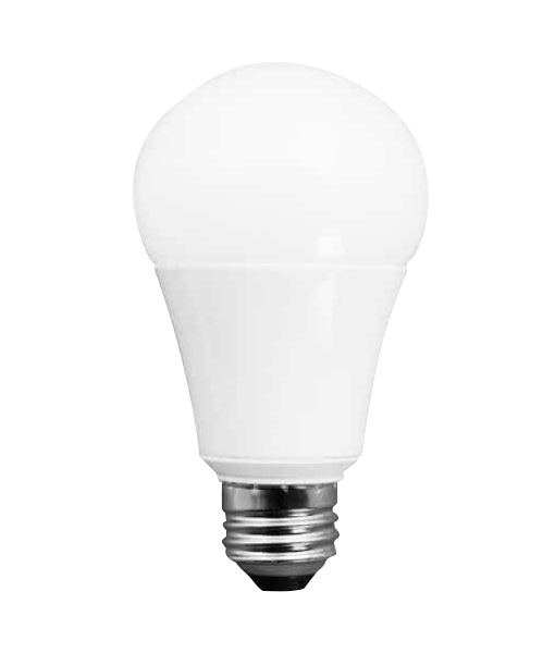 A-19 bulb