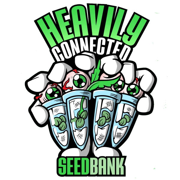 Heavily Connected Seedbank