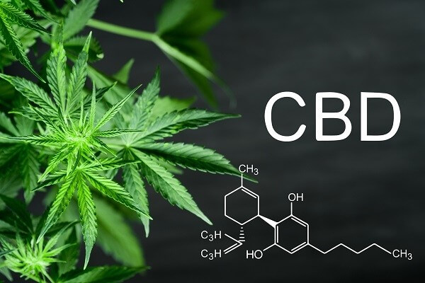 CBD Seeds