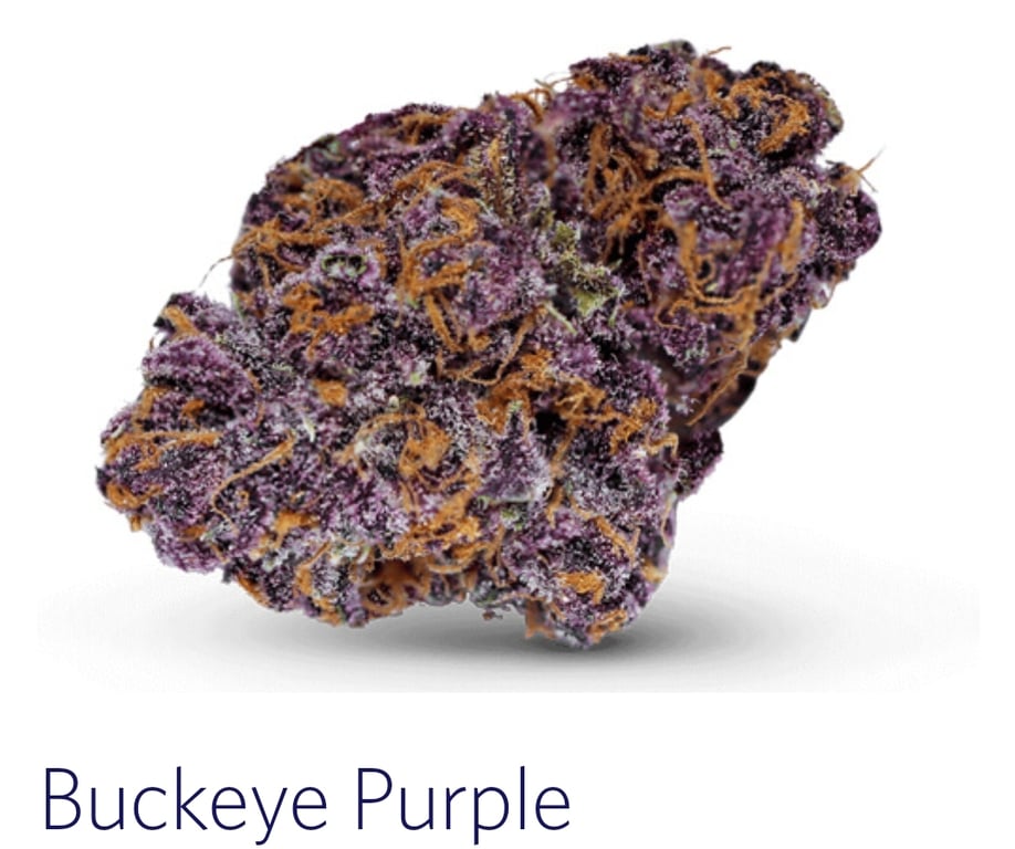 Purple Strains