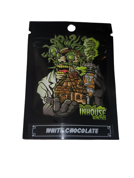 White Chocolate Feminized Seeds – Inhouse Genetics