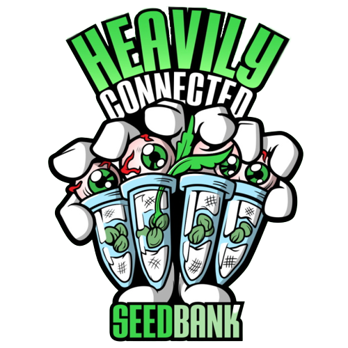 Heavily Connected Seedbank