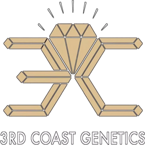 3rd Coast Genetics
