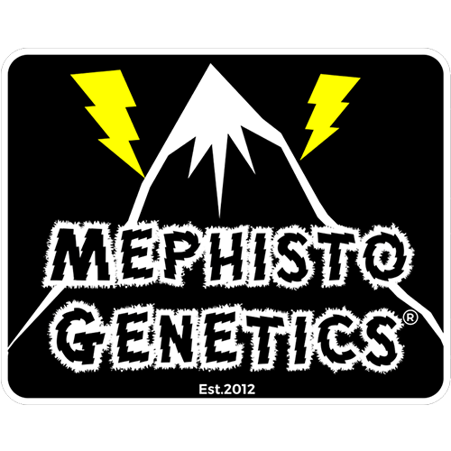 Mephisto Genetics