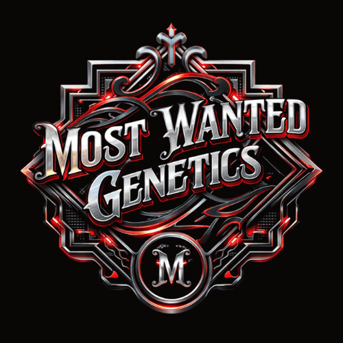 Most Wanted Genetics
