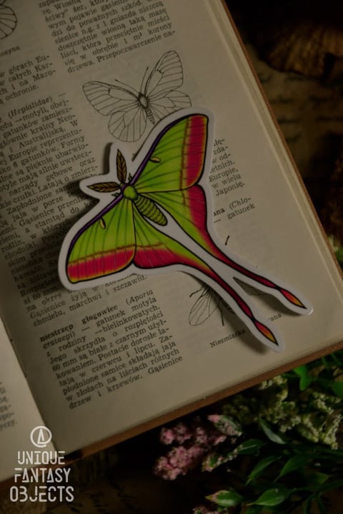 Naklejka z ćmą actias dubernardi