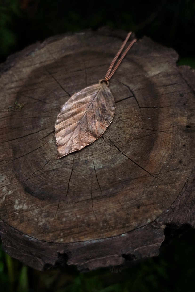 ✤ Fagus Sylvatica ✤ jasna miedź