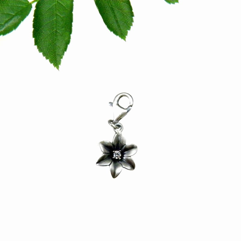 Charm - Niezapominajka