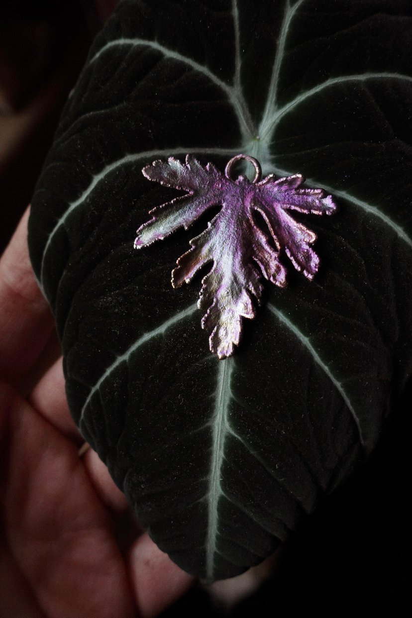 ✤ Geranium ✤ posrebrzany