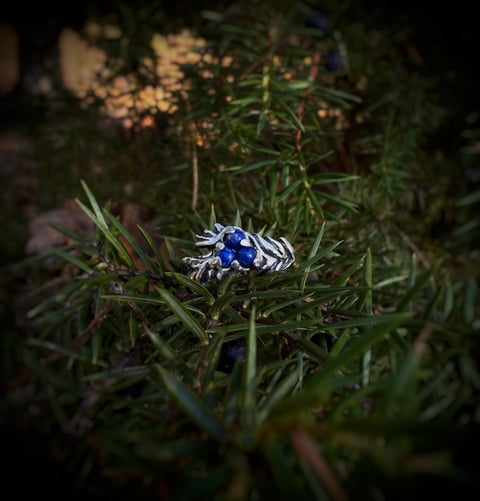 Pierścionek Jałowiec – srebrny pierścionek 925 z lapis lazuli