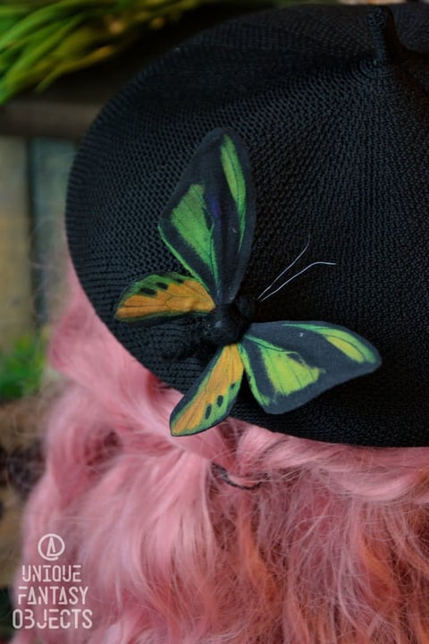 Spinka lub broszka z motylem ornithoptera goliath Broszka