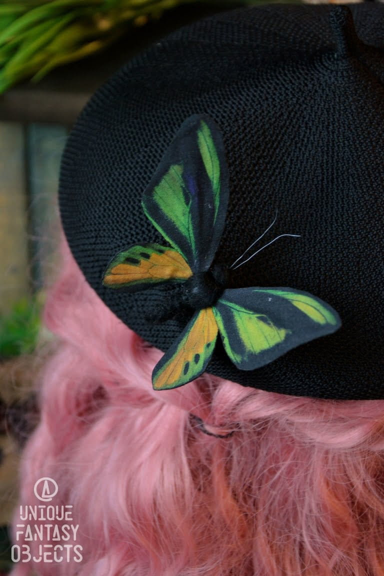 Spinka lub broszka z motylem ornithoptera goliath Broszka