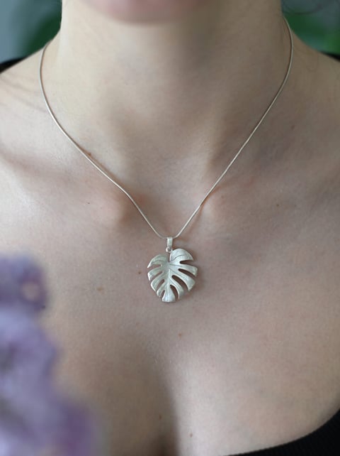 Monstera zawieszka średnia biała