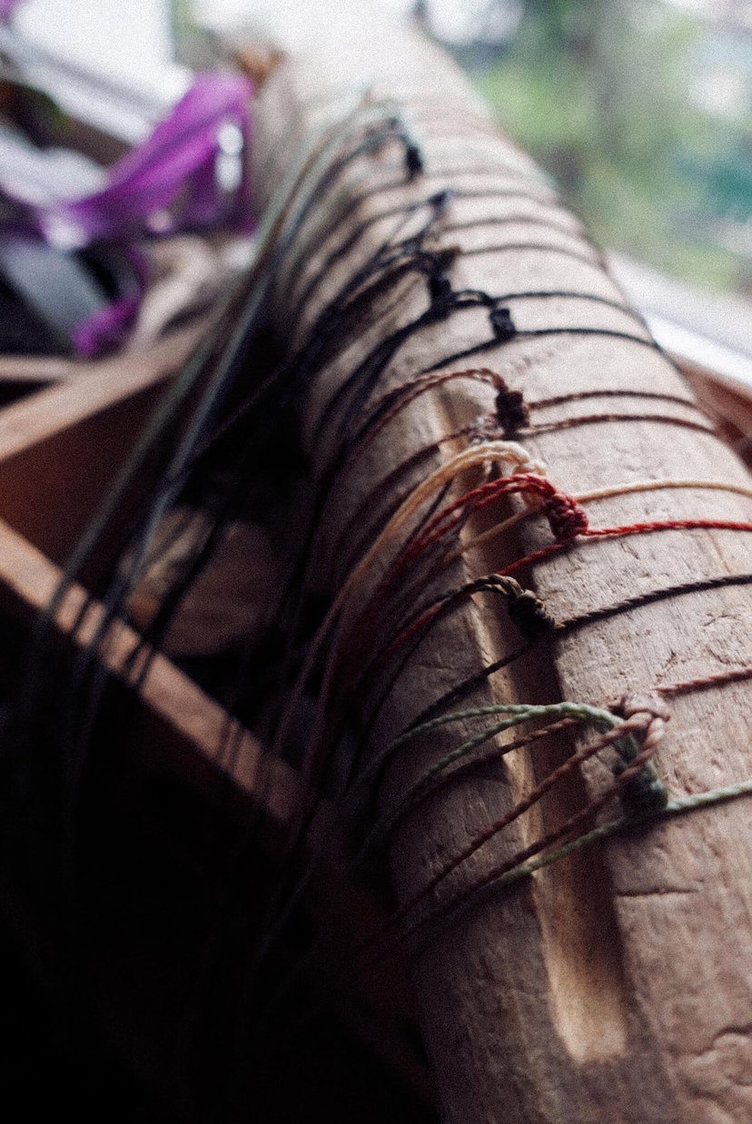 ✤ Rootsy ✤