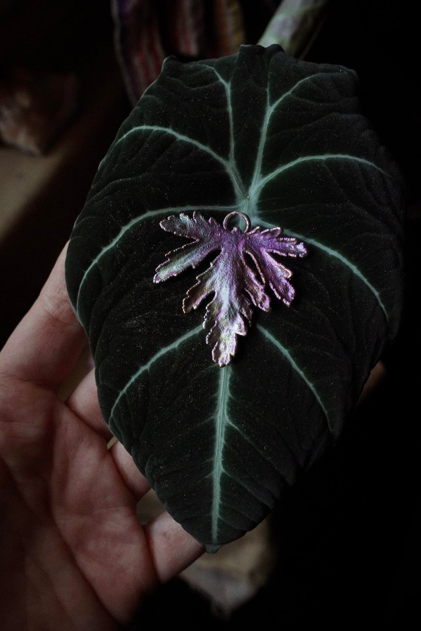 ✤ Geranium ✤ posrebrzany