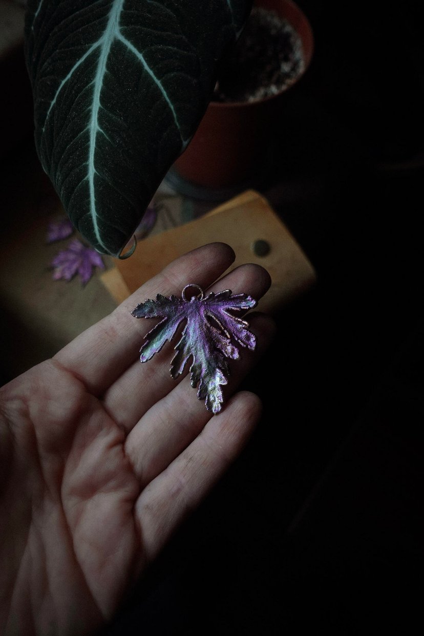 ✤ Geranium ✤ posrebrzany