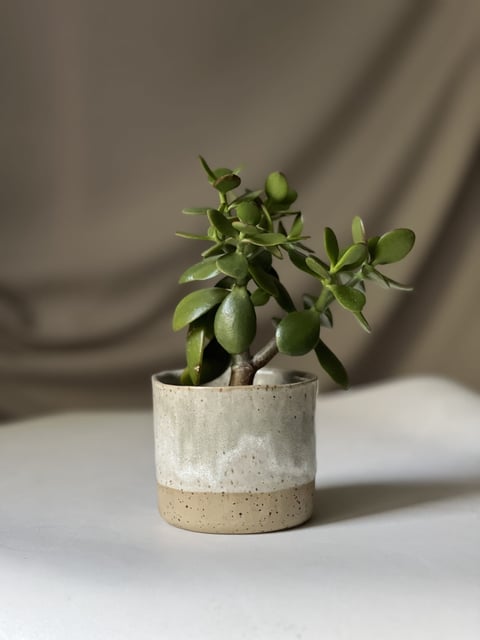Osłonka ceramiczna Zgaszona zieleń 10,5 cm – ceramika handmade na doniczkę