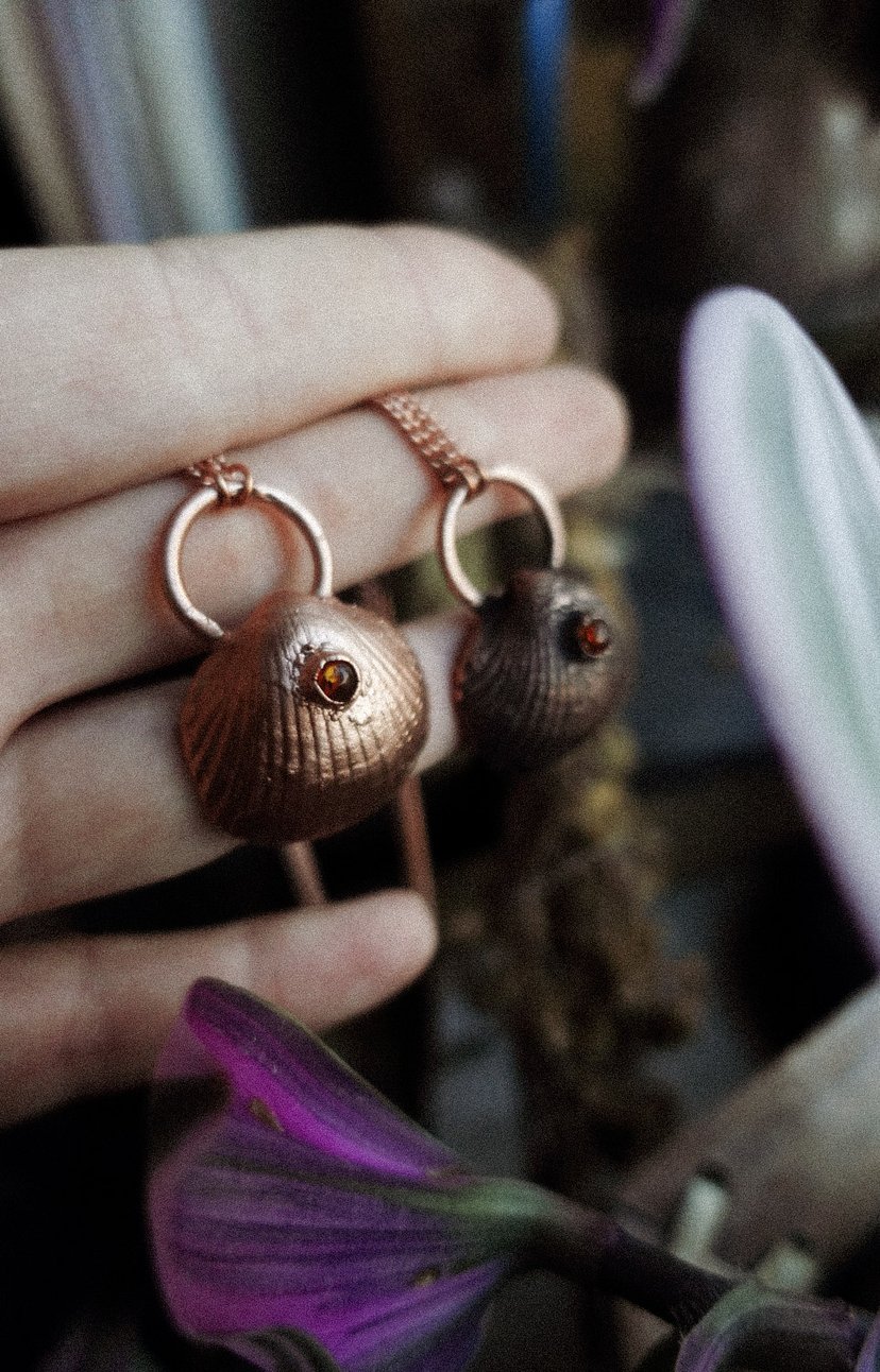 ✤ Ocean Shell ✤
