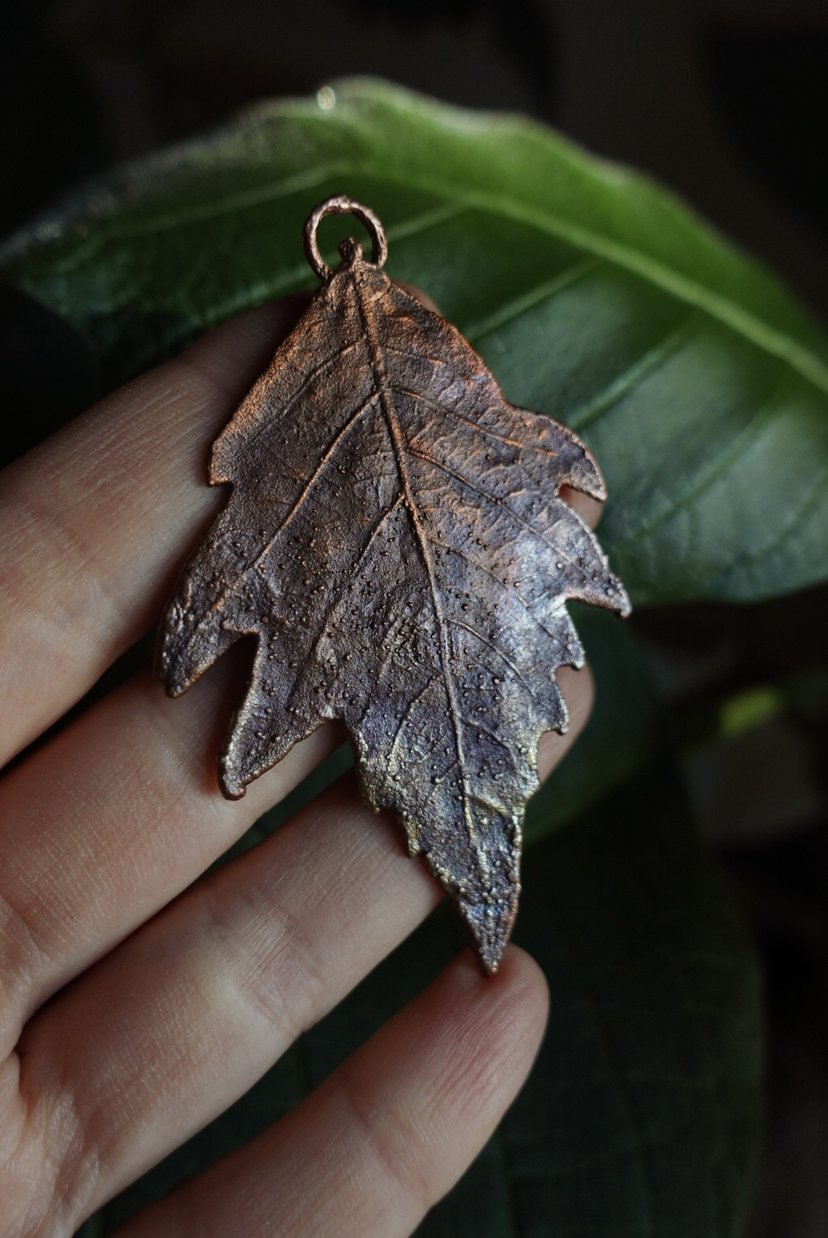 ✤ Platan ✤ II