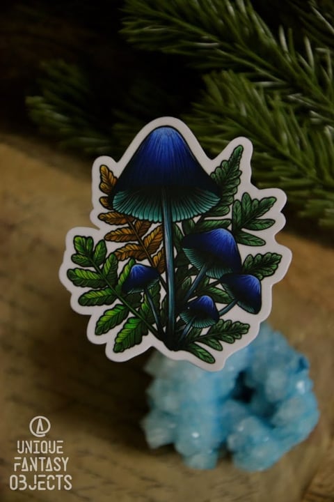 Naklejka z grzybem Entoloma hochstetteri