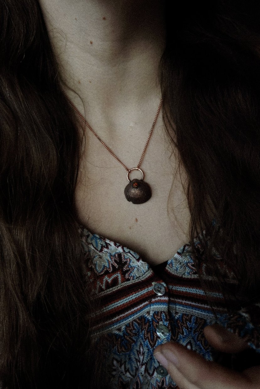 ✤ Ocean Shell ✤