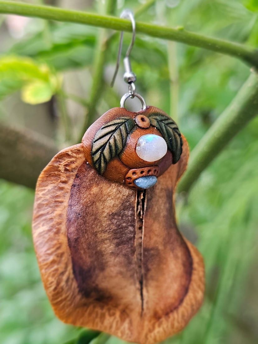 Komplet "Jacaranda" z nasion z drzewa mimozy - ombre