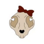 Logo MiCoreShop