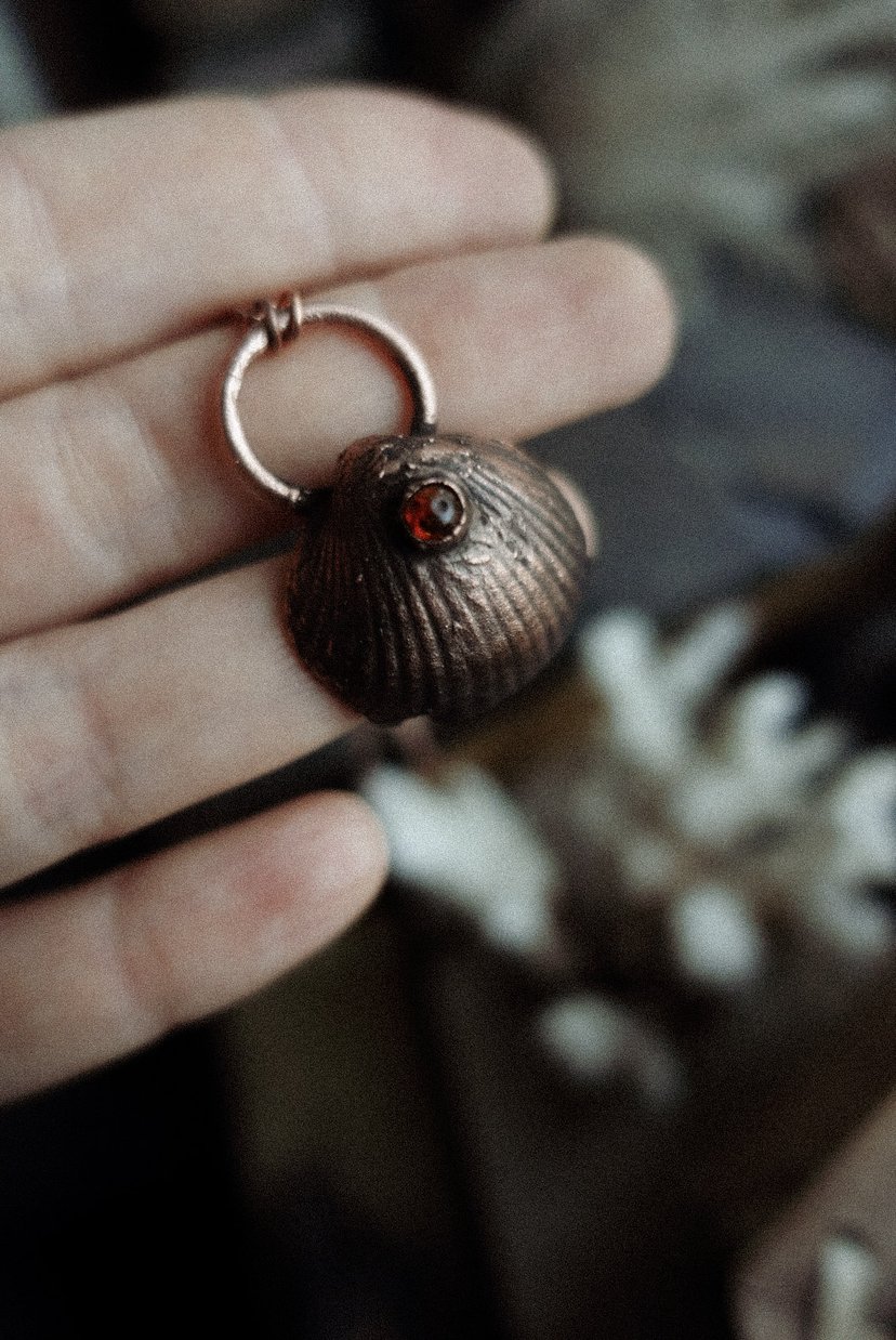 ✤ Ocean Shell ✤
