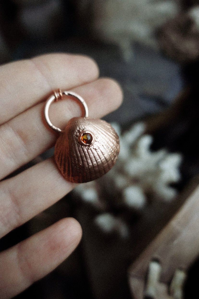 ✤ Ocean Shell ✤