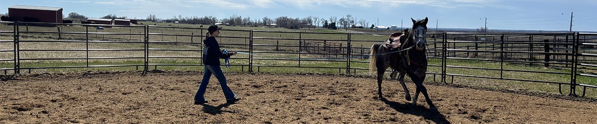 student training a horse