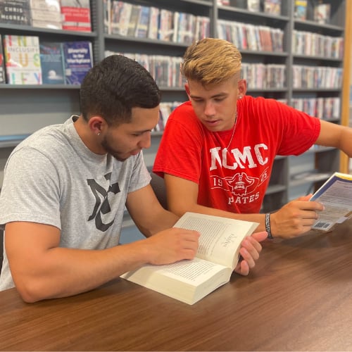 Studying in the Library